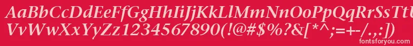 StoneSerifItcSemiItalic Font – Pink Fonts on Red Background