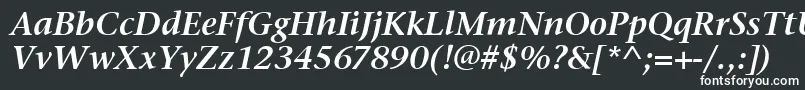 フォントStoneSerifItcSemiItalic – 白い文字