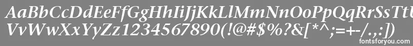 StoneSerifItcSemiItalic Font – White Fonts on Gray Background