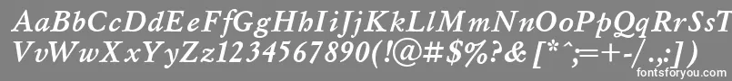 MyslBolditalicCyrillic Font – White Fonts on Gray Background