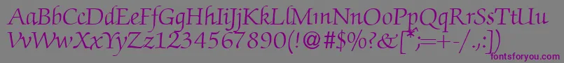Шрифт ZabriskiescriptRegularDb – фиолетовые шрифты на сером фоне