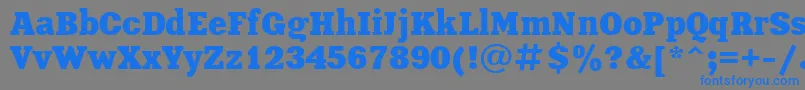Шрифт XeniaBoldCyrillic – синие шрифты на сером фоне