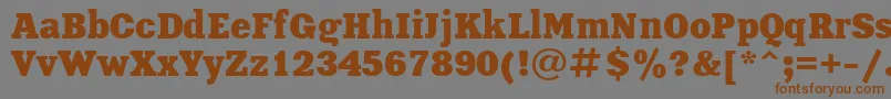 Шрифт XeniaBoldCyrillic – коричневые шрифты на сером фоне