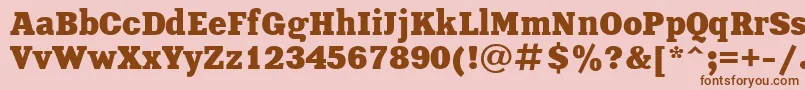 XeniaBoldCyrillic Font – Brown Fonts on Pink Background