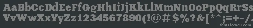Шрифт XeniaBoldCyrillic – серые шрифты на чёрном фоне