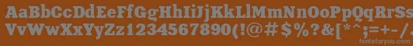 フォントXeniaBoldCyrillic – 茶色の背景に灰色の文字