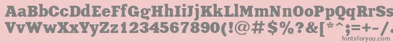 Police XeniaBoldCyrillic – polices grises sur fond rose