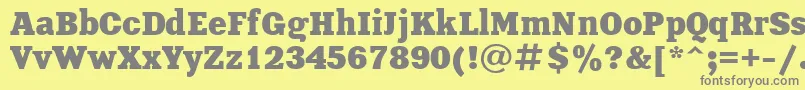 XeniaBoldCyrillic-Schriftart – Graue Schriften auf gelbem Hintergrund