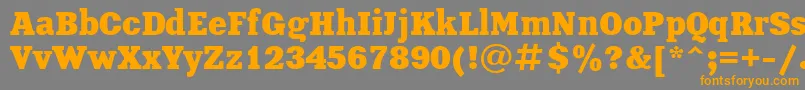 Police XeniaBoldCyrillic – polices orange sur fond gris