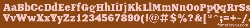 XeniaBoldCyrillic Font – Pink Fonts on Brown Background