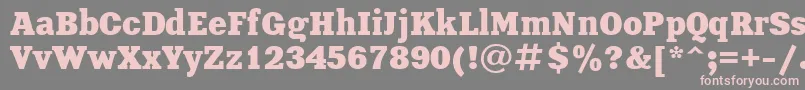 フォントXeniaBoldCyrillic – 灰色の背景にピンクのフォント