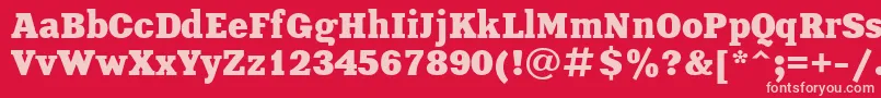 XeniaBoldCyrillic Font – Pink Fonts on Red Background