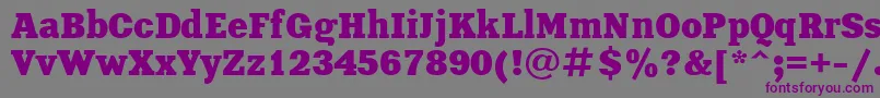 XeniaBoldCyrillic-Schriftart – Violette Schriften auf grauem Hintergrund