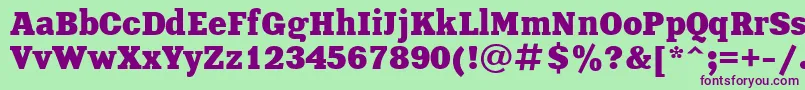 XeniaBoldCyrillic-Schriftart – Violette Schriften auf grünem Hintergrund