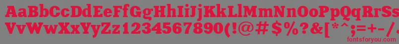 XeniaBoldCyrillic-fontti – punaiset fontit harmaalla taustalla