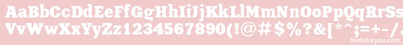 XeniaBoldCyrillic Font – White Fonts on Pink Background