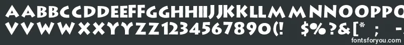 フォントLiffo – 黒い背景に白い文字