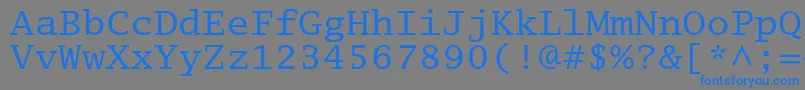 En savoir plus sur la police Lucidatypewriterstd Police Lucidatypewriterstd – polices bleues sur fond gris