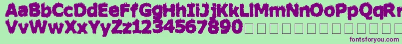 HairyMonsterSolid Font – Purple Fonts on Green Background