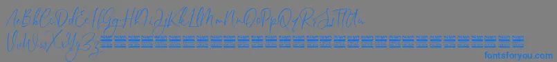 Czcionka SheilazainDemo – niebieskie czcionki na szarym tle