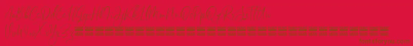 SheilazainDemo Font – Brown Fonts on Red Background