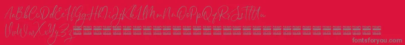 SheilazainDemo-Schriftart – Graue Schriften auf rotem Hintergrund
