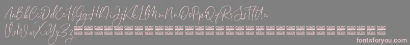 SheilazainDemo Font – Pink Fonts on Gray Background