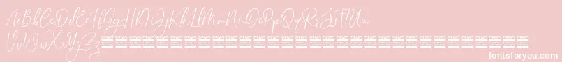 SheilazainDemo Font – White Fonts on Pink Background