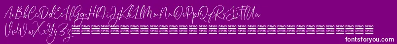 SheilazainDemo Font – White Fonts on Purple Background