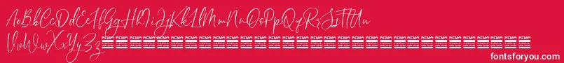 Шрифт SheilazainDemo – белые шрифты на красном фоне