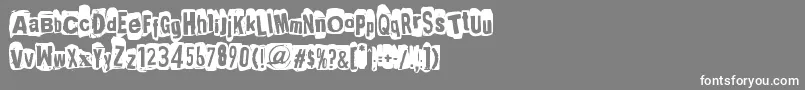 PunkSNotDead Font – White Fonts on Gray Background