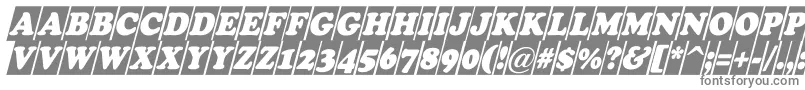 ACooperblackcmobl-fontti – harmaat kirjasimet valkoisella taustalla