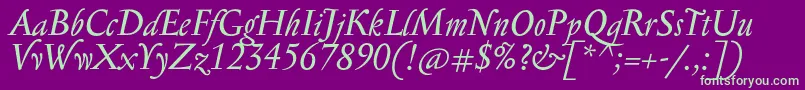 SerapionProItalic Font – Green Fonts on Purple Background