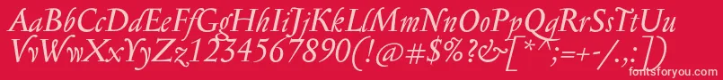 SerapionProItalic Font – Pink Fonts on Red Background