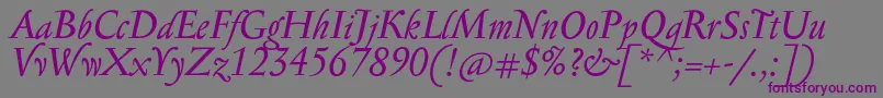 SerapionProItalic Font – Purple Fonts on Gray Background