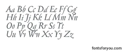 SerapionProItalic Font