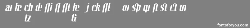 フォントLinotypeoctaneBolditalicadd – 灰色の背景に白い文字