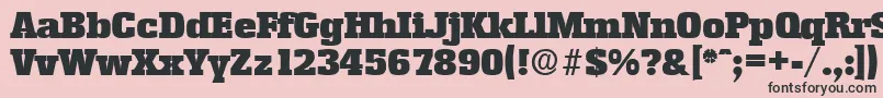 EnschedeSerialBlackRegularDb Font – Black Fonts on Pink Background