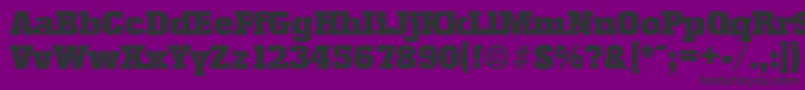 EnschedeSerialBlackRegularDb Font – Black Fonts on Purple Background