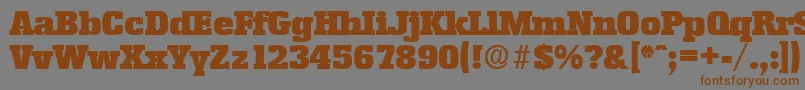フォントEnschedeSerialBlackRegularDb – 茶色の文字が灰色の背景にあります。
