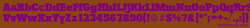 EnschedeSerialBlackRegularDb Font – Purple Fonts on Brown Background