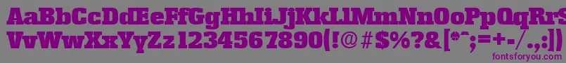 EnschedeSerialBlackRegularDb Font – Purple Fonts on Gray Background