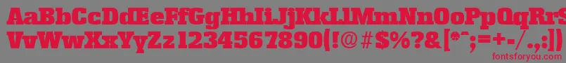 EnschedeSerialBlackRegularDb Font – Red Fonts on Gray Background
