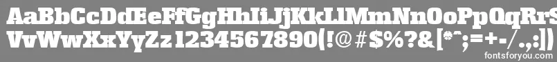 EnschedeSerialBlackRegularDb Font – White Fonts on Gray Background
