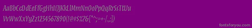 MezzstdRegular Font – Gray Fonts on Purple Background