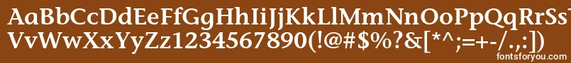 フォントStoneinformalstdSemibold – 茶色の背景に白い文字