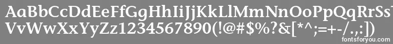 フォントStoneinformalstdSemibold – 灰色の背景に白い文字