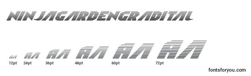 Размеры шрифта Ninjagardengradital