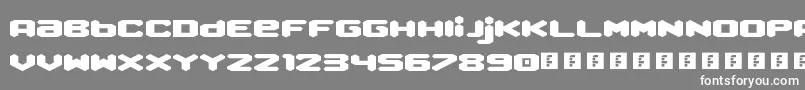 QueenOfMelbourne Font – White Fonts on Gray Background