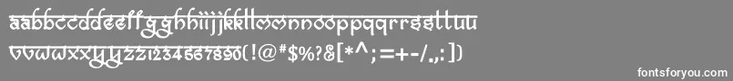 BitlingravishBold Font – White Fonts on Gray Background